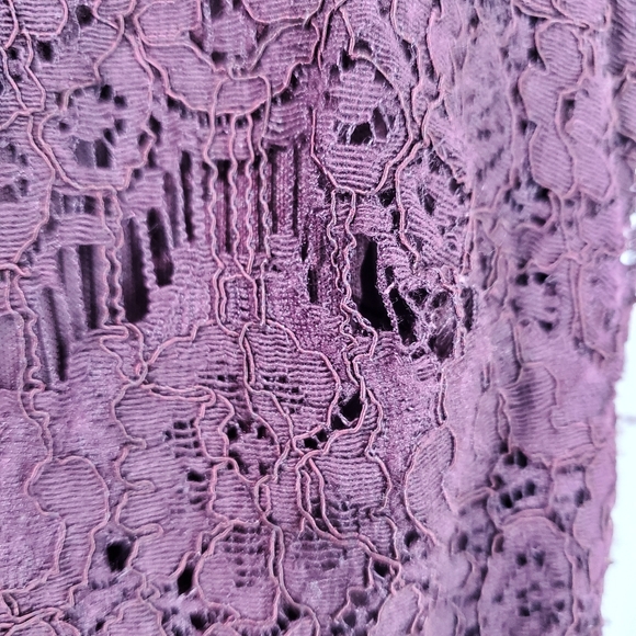 Betsy & Adam Deep Plum Crystal Waist Lace Formal Mother of the Bride Dress SZ 6 - Picture 11 of 16